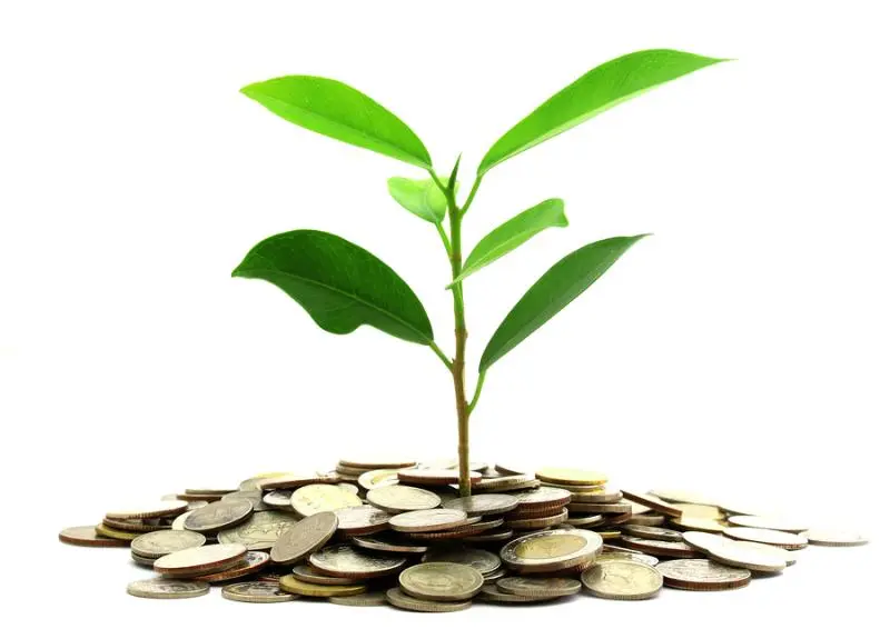 Инвестиции SKF в сохранение экологии | Свежие новости в Тамбове