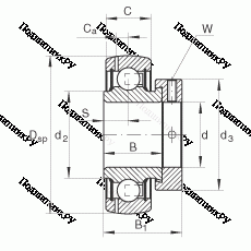 Подшипник GRAE 50-NPP-B