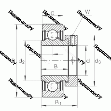 Подшипник RAE 50-NPP-FA 106