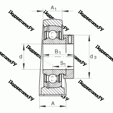 Подшипник PASE 55